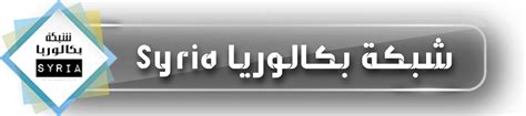 نتائج امتحان شهادة التعليم الثانوي بكافة فروعها للعام الدراسي 2023.